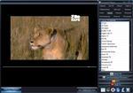   Torrent TV Player v2.7 Final